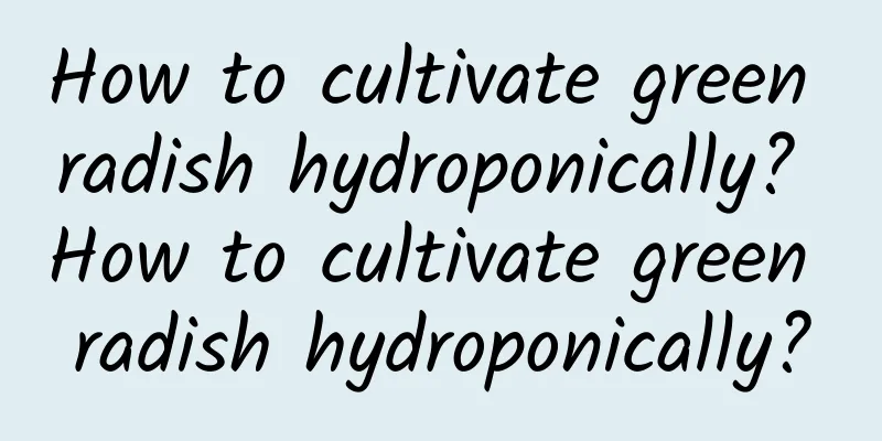 How to cultivate green radish hydroponically? How to cultivate green radish hydroponically?