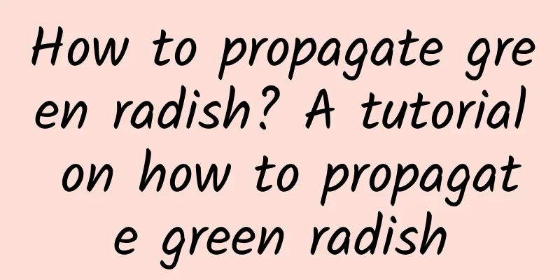 How to propagate green radish? A tutorial on how to propagate green radish