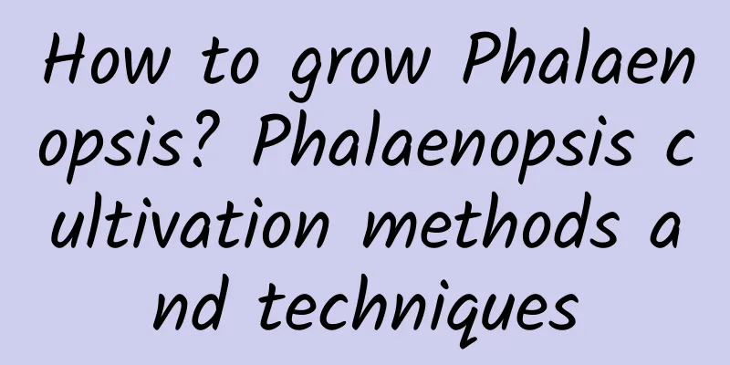 How to grow Phalaenopsis? Phalaenopsis cultivation methods and techniques