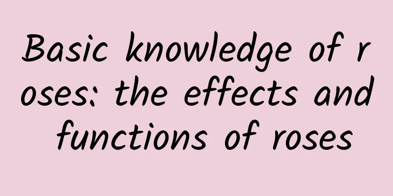 Basic knowledge of roses: the effects and functions of roses