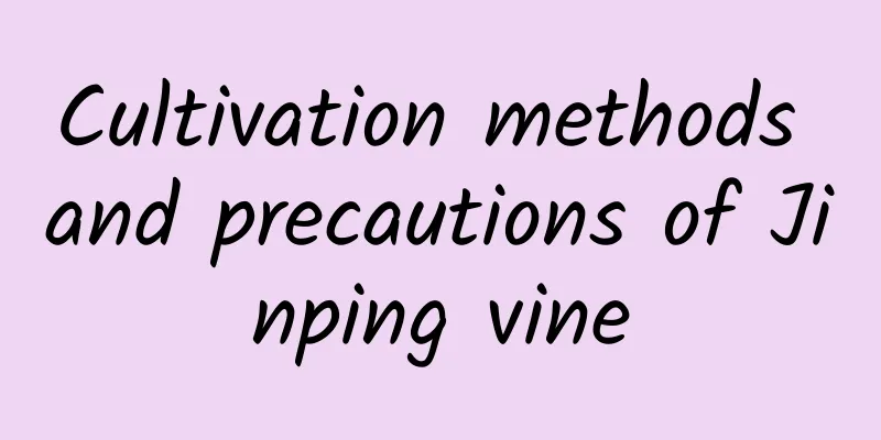 Cultivation methods and precautions of Jinping vine