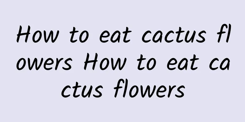 How to eat cactus flowers How to eat cactus flowers