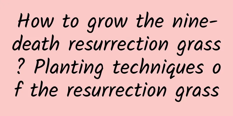 How to grow the nine-death resurrection grass? Planting techniques of the resurrection grass