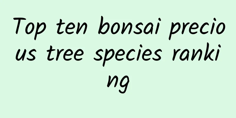 Top ten bonsai precious tree species ranking