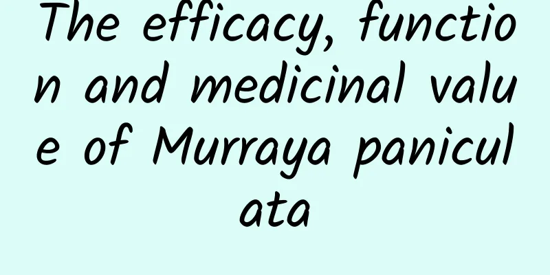 The efficacy, function and medicinal value of Murraya paniculata