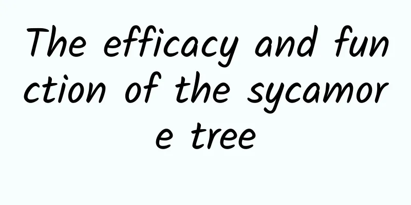 The efficacy and function of the sycamore tree