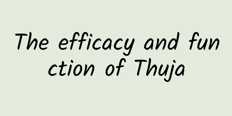 The efficacy and function of Thuja