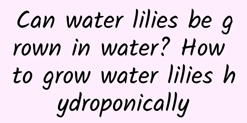 Can water lilies be grown in water? How to grow water lilies hydroponically