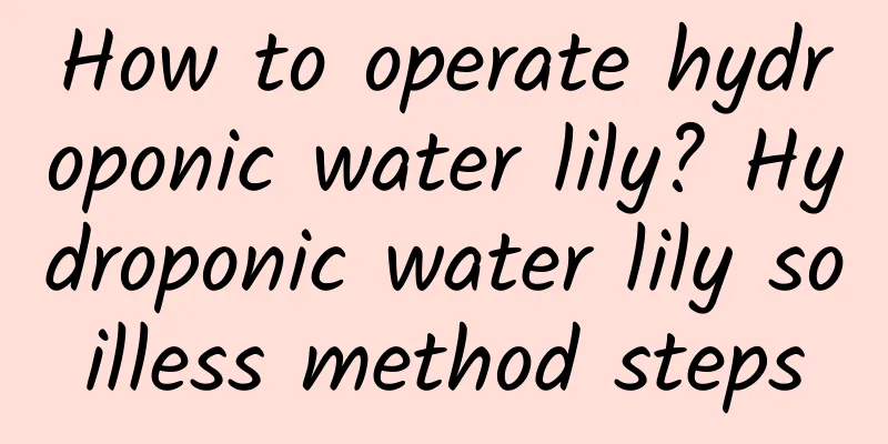 How to operate hydroponic water lily? Hydroponic water lily soilless method steps