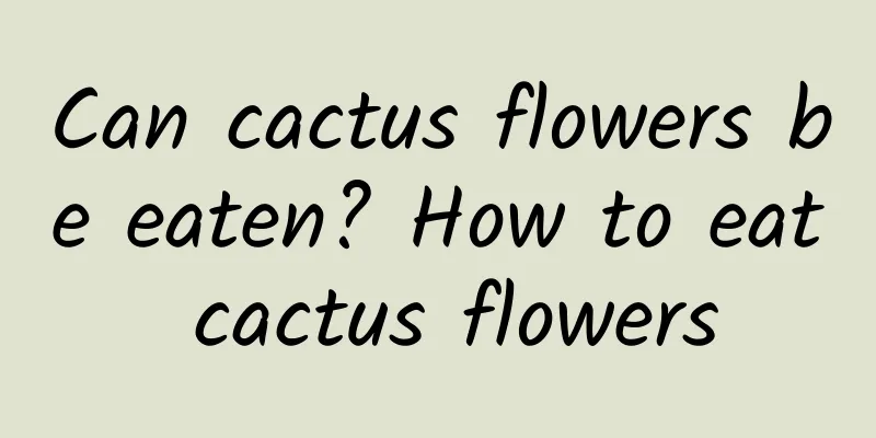 Can cactus flowers be eaten? How to eat cactus flowers