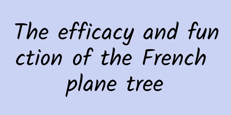 The efficacy and function of the French plane tree