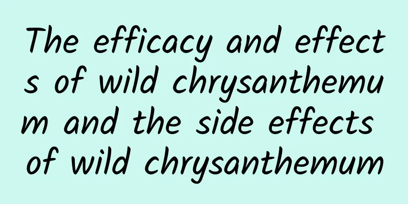 The efficacy and effects of wild chrysanthemum and the side effects of wild chrysanthemum