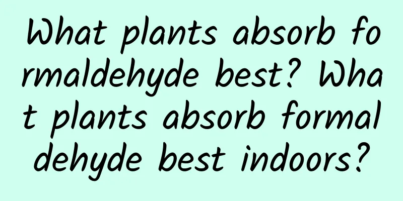 What plants absorb formaldehyde best? What plants absorb formaldehyde best indoors?