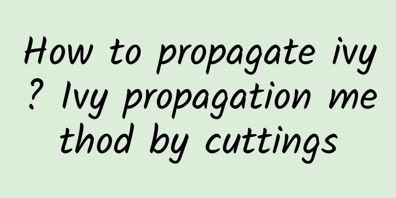 How to propagate ivy? Ivy propagation method by cuttings