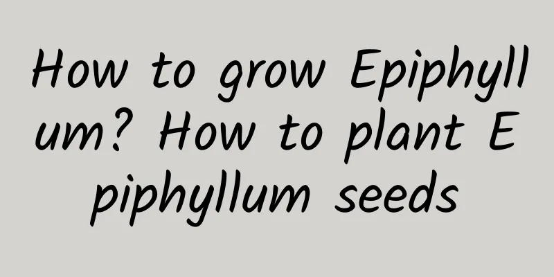 How to grow Epiphyllum? How to plant Epiphyllum seeds