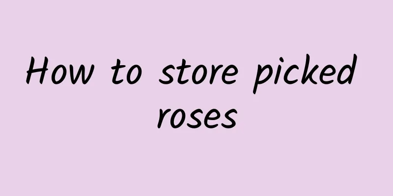 How to store picked roses