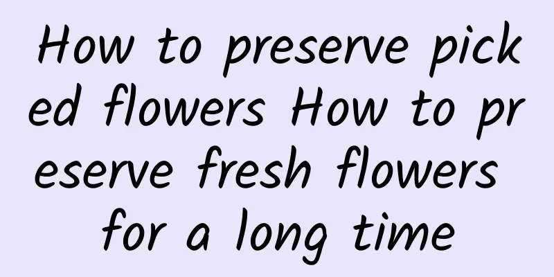 How to preserve picked flowers How to preserve fresh flowers for a long time