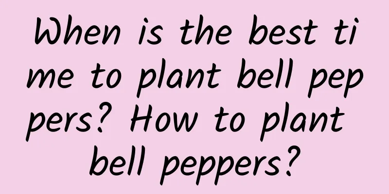 When is the best time to plant bell peppers? How to plant bell peppers?