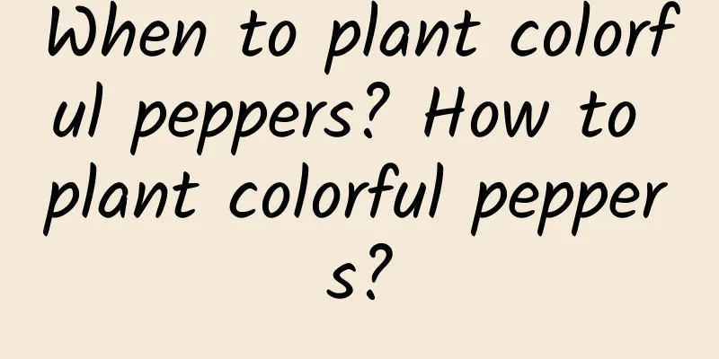 When to plant colorful peppers? How to plant colorful peppers?