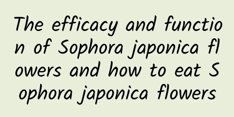 The efficacy and function of Sophora japonica flowers and how to eat Sophora japonica flowers