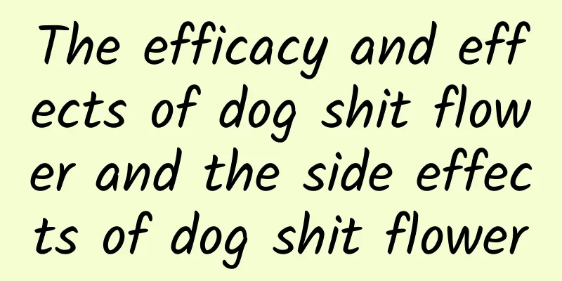 The efficacy and effects of dog shit flower and the side effects of dog shit flower