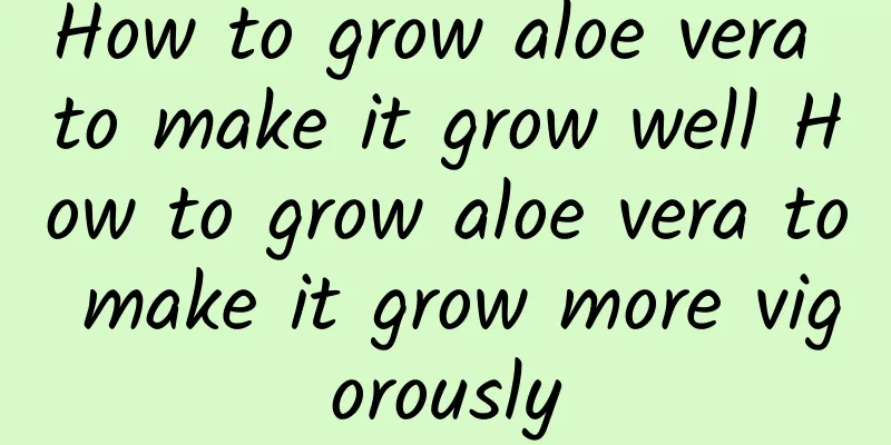 How to grow aloe vera to make it grow well How to grow aloe vera to make it grow more vigorously