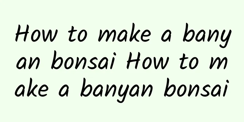 How to make a banyan bonsai How to make a banyan bonsai