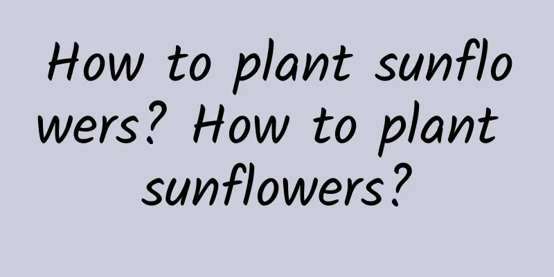 How to plant sunflowers? How to plant sunflowers?