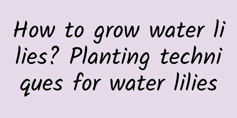 How to grow water lilies? Planting techniques for water lilies