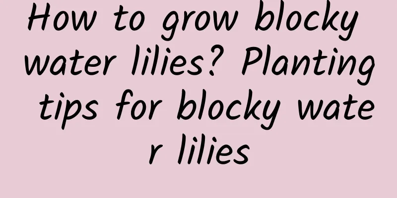 How to grow blocky water lilies? Planting tips for blocky water lilies