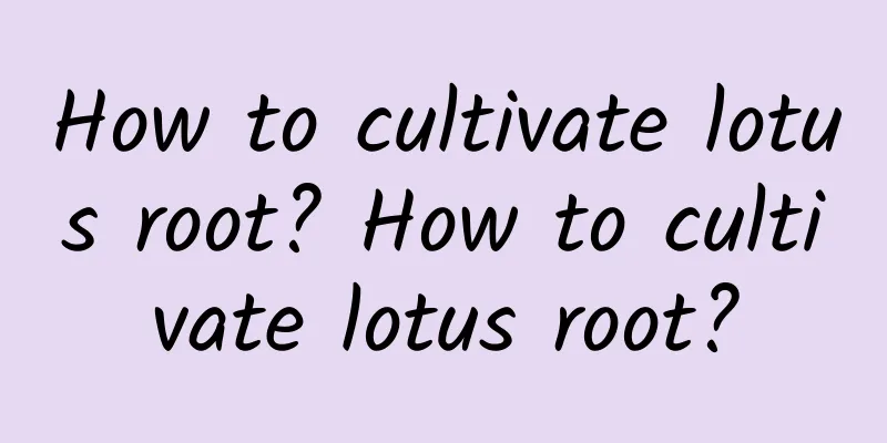 How to cultivate lotus root? How to cultivate lotus root?