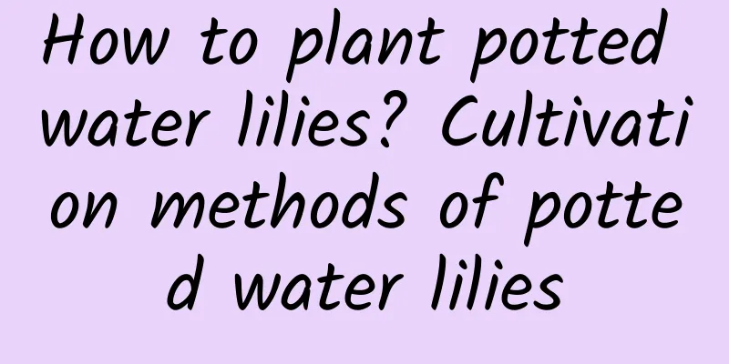 How to plant potted water lilies? Cultivation methods of potted water lilies