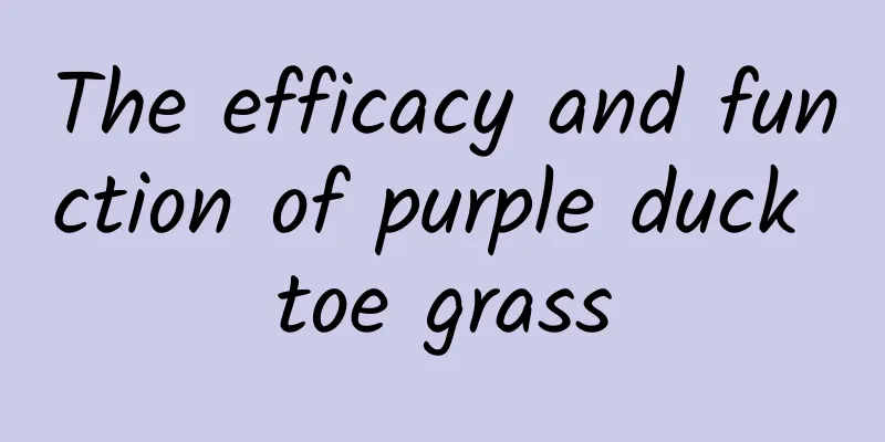 The efficacy and function of purple duck toe grass