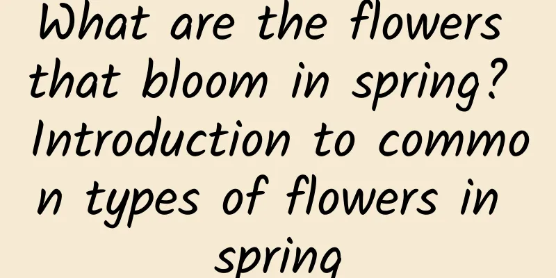 What are the flowers that bloom in spring? Introduction to common types of flowers in spring