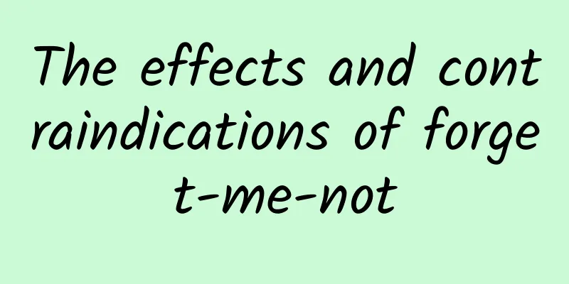 The effects and contraindications of forget-me-not