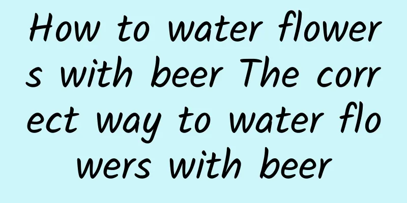 How to water flowers with beer The correct way to water flowers with beer