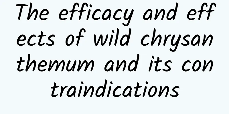 The efficacy and effects of wild chrysanthemum and its contraindications