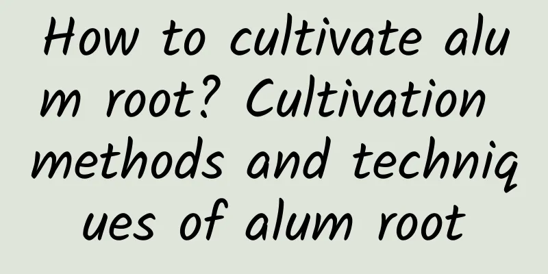 How to cultivate alum root? Cultivation methods and techniques of alum root