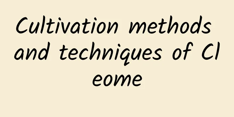 Cultivation methods and techniques of Cleome