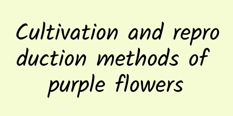 Cultivation and reproduction methods of purple flowers