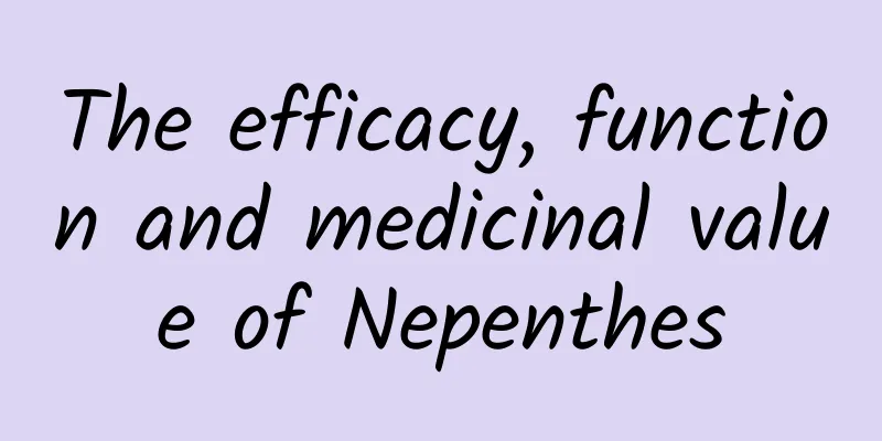 The efficacy, function and medicinal value of Nepenthes