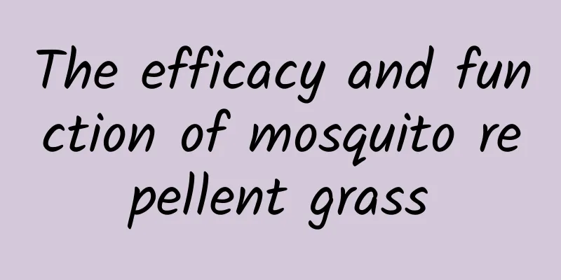 The efficacy and function of mosquito repellent grass