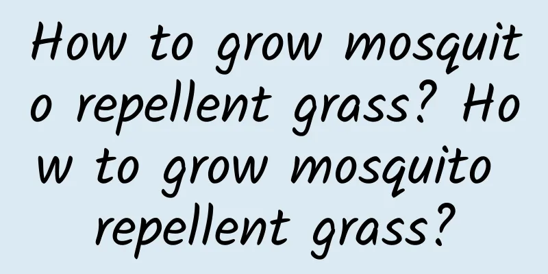 How to grow mosquito repellent grass? How to grow mosquito repellent grass?