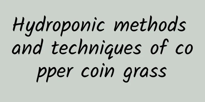 Hydroponic methods and techniques of copper coin grass