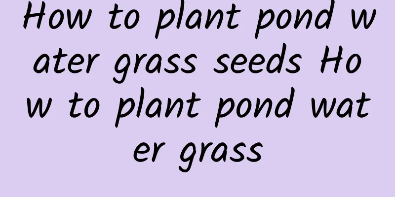 How to plant pond water grass seeds How to plant pond water grass