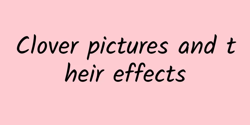 Clover pictures and their effects