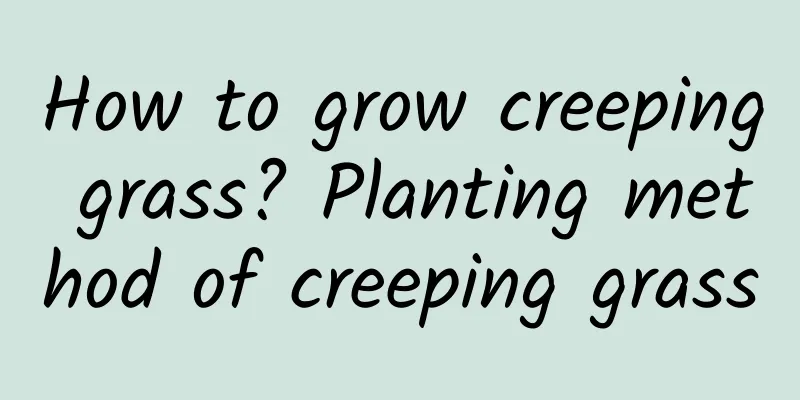 How to grow creeping grass? Planting method of creeping grass