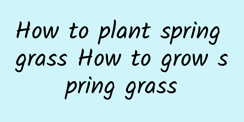 How to plant spring grass How to grow spring grass