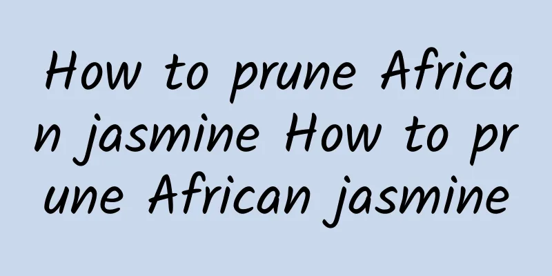 How to prune African jasmine How to prune African jasmine