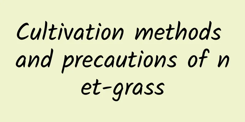 Cultivation methods and precautions of net-grass